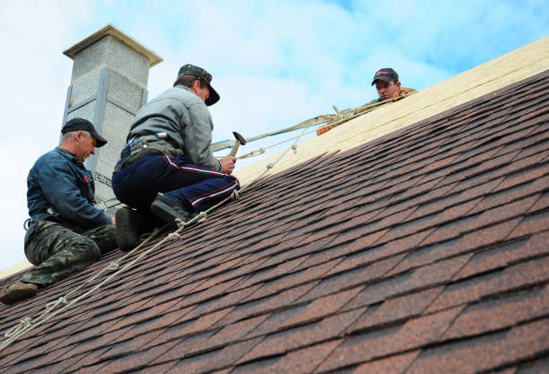 Best Gutter Installation and Roofing  in Gleason, TN